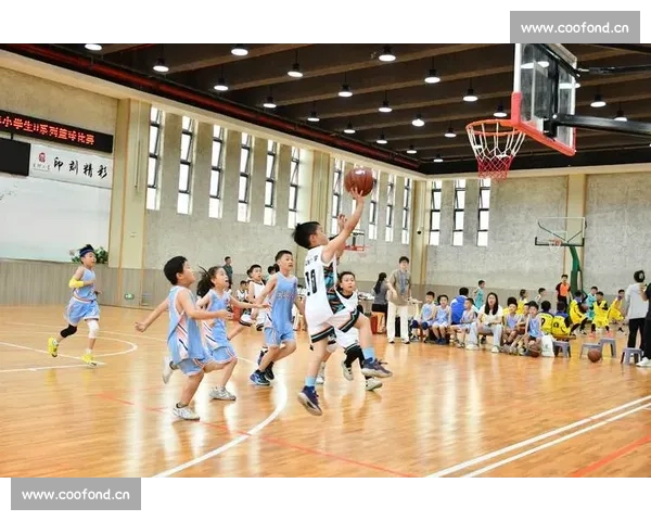 以篮球比赛观赛体验分析为核心的现场氛围与观众行为研究心理互动